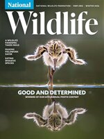 National Wildlife